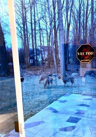 6062 White Tail Lane, Lorain, OH 44053