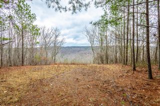 0 Split Rail Way Lot 1354, Guild, TN 37340