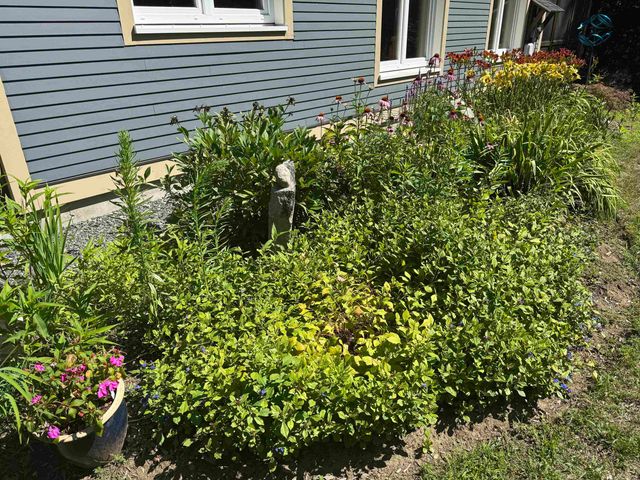 321 Leonard Road, Dummerston, VT 05301