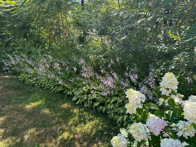 321 Leonard Road, Dummerston, VT 05301
