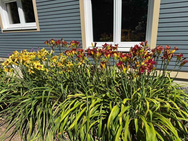 321 Leonard Road, Dummerston, VT 05301