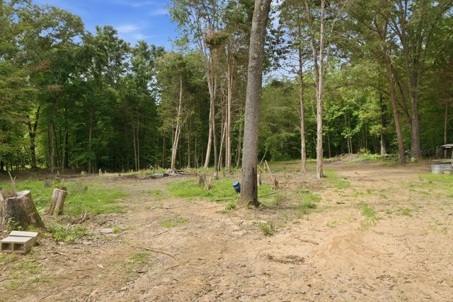 2010 Mosley Ferry Rd, Chapmansboro, TN 37035