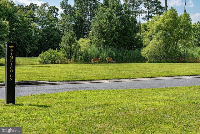 10121 FAST COLORS LN, Berlin, MD 21811