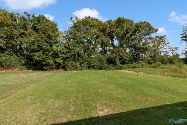 15284 Lapwing Cove, Athens, AL 35611