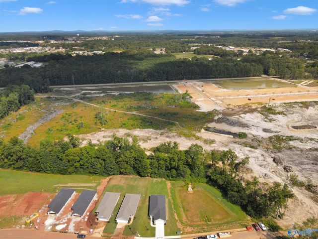 15284 Lapwing Cove, Athens, AL 35611