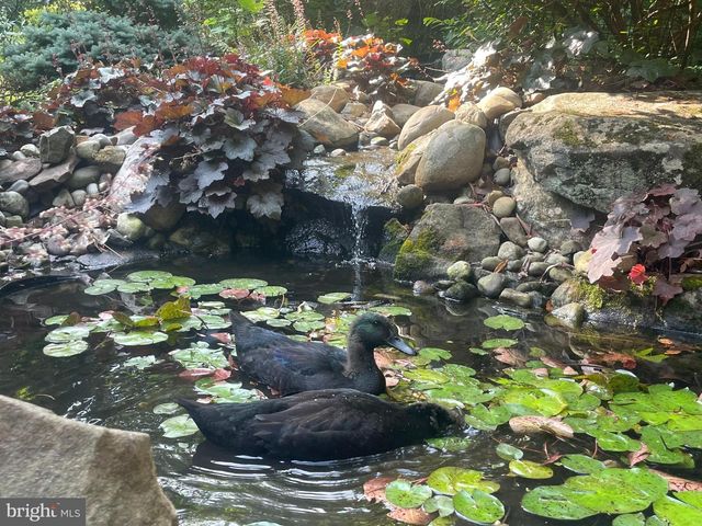 8132 COVERED BRIDGE RD, Quakertown, PA 18951