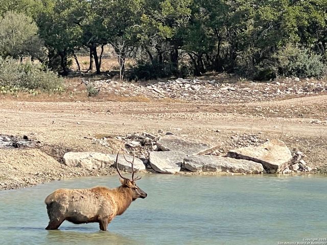 988 Sd 71600, Rocksprings, TX 78880