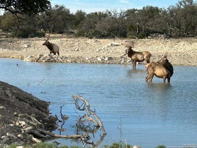 988 Sd 71600, Rocksprings, TX 78880