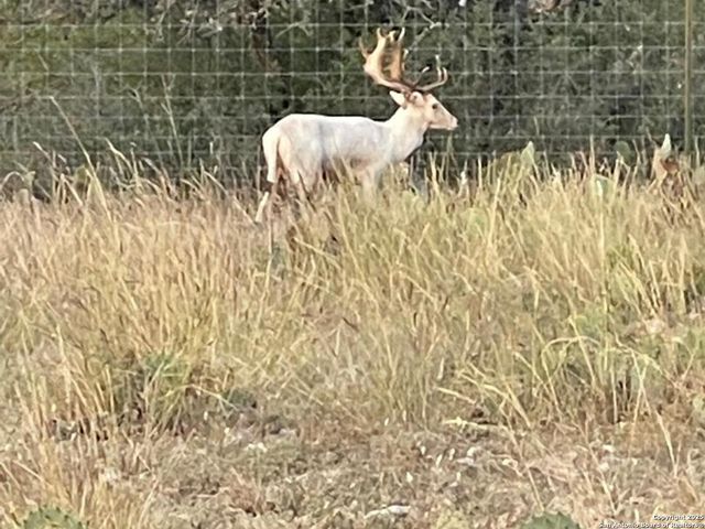 988 Sd 71600, Rocksprings, TX 78880