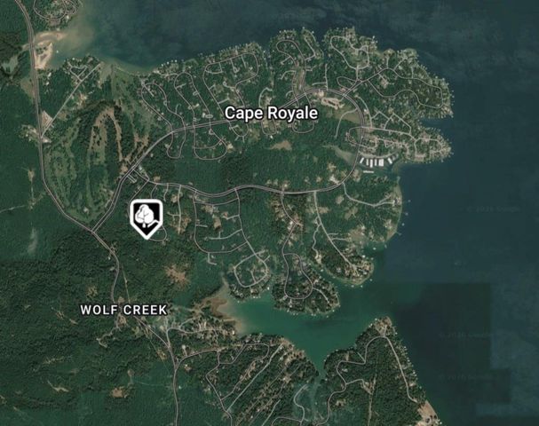 126 Green Tree Drive, Coldspring, TX 77331