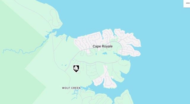 126 Green Tree Drive, Coldspring, TX 77331