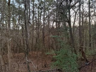 126 Green Tree Drive, Coldspring, TX 77331