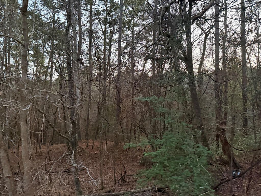 126 Green Tree Drive, Coldspring, TX 77331