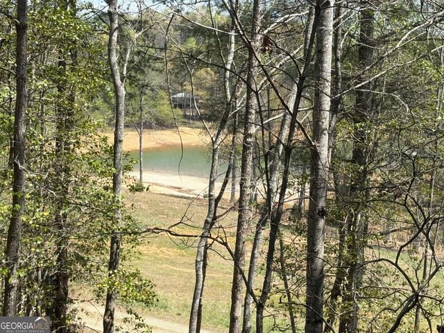 238 Virginia Lane, Blairsville, GA 30512