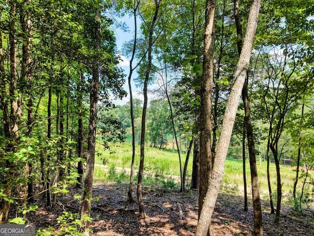 238 Virginia Lane, Blairsville, GA 30512