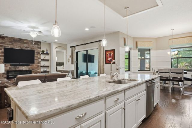 14100 Bassingthorpe Drive, Spring Hill, FL 34609