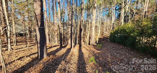 11176 Water Trace Drive, Fort Mill, SC 29708