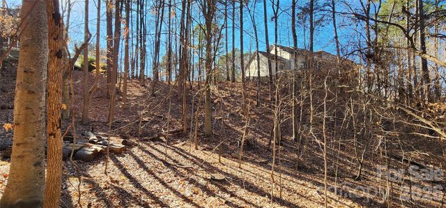 11176 Water Trace Drive, Fort Mill, SC 29708