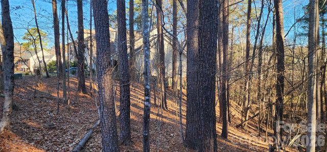 11176 Water Trace Drive, Fort Mill, SC 29708