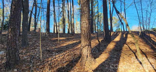 11176 Water Trace Drive, Fort Mill, SC 29708