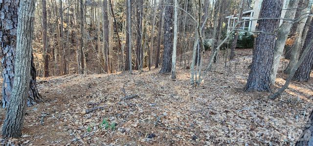 11176 Water Trace Drive, Fort Mill, SC 29708