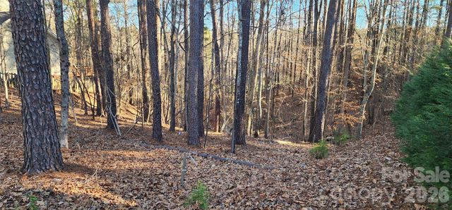 11176 Water Trace Drive, Fort Mill, SC 29708