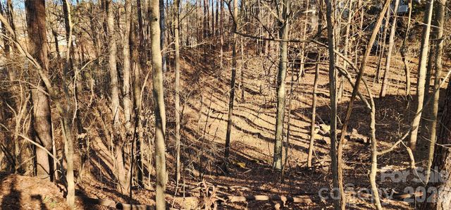 11176 Water Trace Drive, Fort Mill, SC 29708