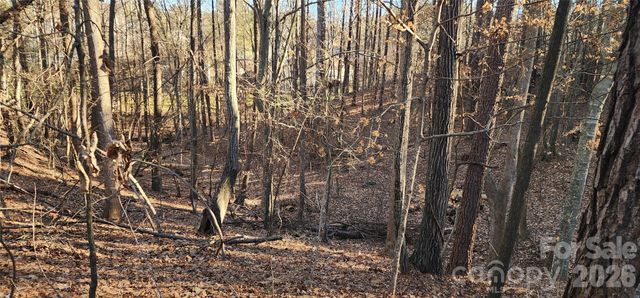 11176 Water Trace Drive, Fort Mill, SC 29708