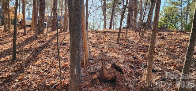 11176 Water Trace Drive, Fort Mill, SC 29708