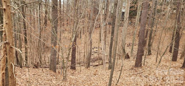 11176 Water Trace Drive, Fort Mill, SC 29708