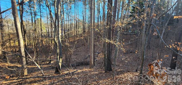 11176 Water Trace Drive, Fort Mill, SC 29708