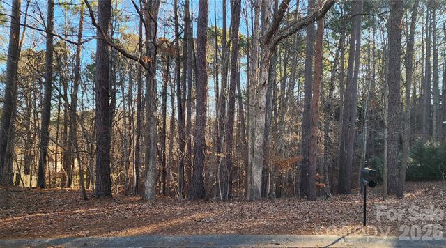 11176 Water Trace Drive, Fort Mill, SC 29708