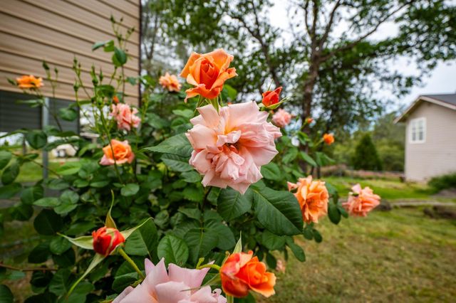 10360 Oak Canyon Dr, Penn Valley, CA 95946