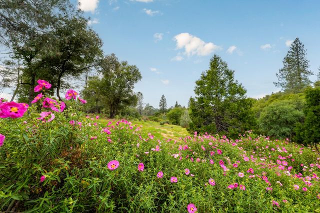 10360 Oak Canyon Dr, Penn Valley, CA 95946