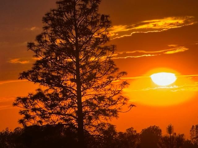 10360 Oak Canyon Dr, Penn Valley, CA 95946