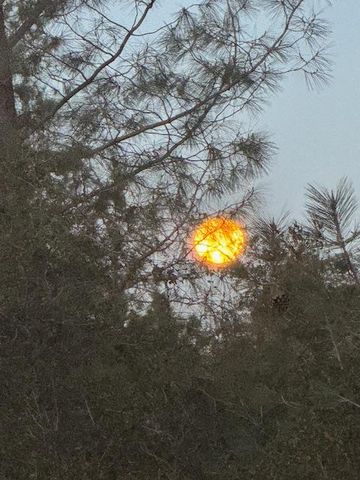 10360 Oak Canyon Dr, Penn Valley, CA 95946