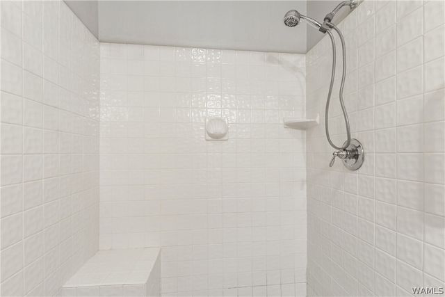 253 Cedar, Tuscaloosa, AL 35401