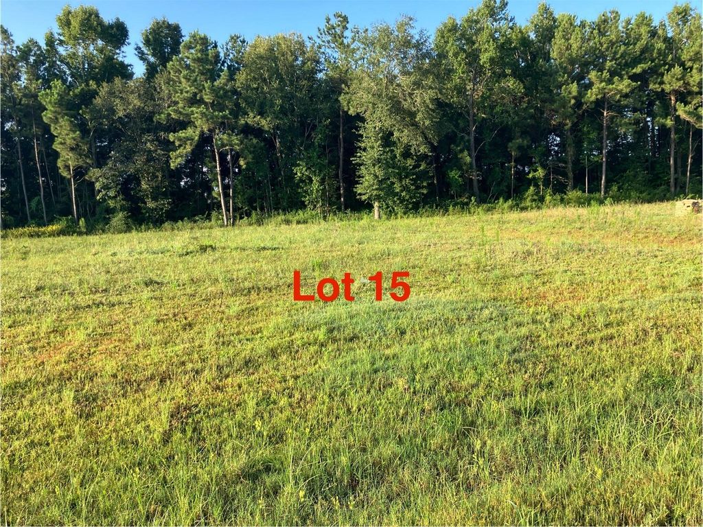 1041 Tarkington Timbers Drive, Cleveland, TX 77327