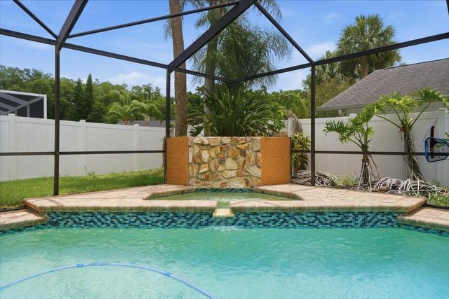 11803 SWEETPEA COURT, Tampa, FL 33635