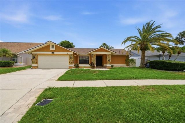 11803 SWEETPEA COURT, Tampa, FL 33635