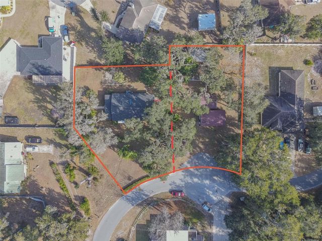 1175 CR 463B, Lake Panasoffkee, FL 33538