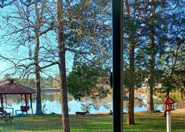 3820 Sam Houston Road, Willis, TX 77378