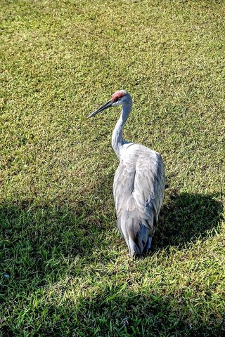 4865 KINGSTON CIRCLE, Kissimmee, FL 34746