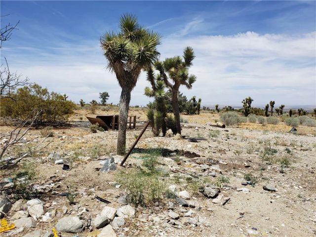 20649 E Avenue Y, Llano, CA 93544