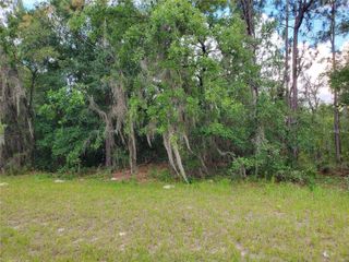 8650 SW 138 LANE, Ocala, FL 34473