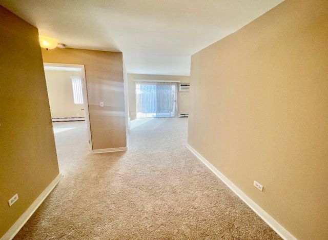 1461 N Winslowe Drive 304, Palatine, IL 60074