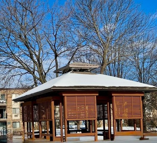 1461 N Winslowe Drive 304, Palatine, IL 60074