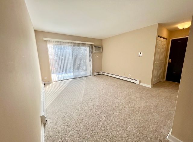 1461 N Winslowe Drive 304, Palatine, IL 60074