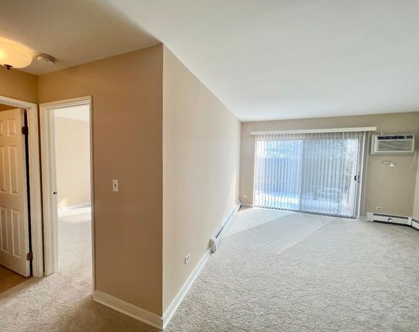1461 N Winslowe Drive 304, Palatine, IL 60074