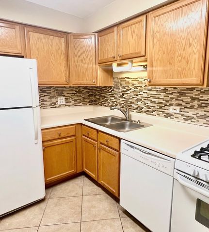 1461 N Winslowe Drive 304, Palatine, IL 60074
